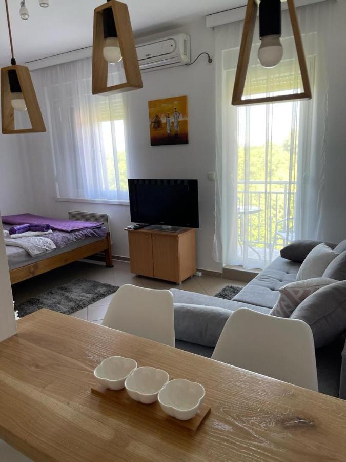 Apartman Lukic Баня-Ковиляча Экстерьер фото