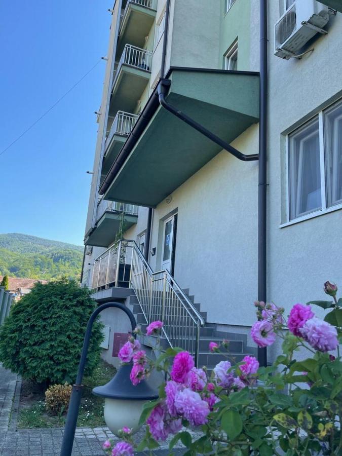 Apartman Lukic Баня-Ковиляча Экстерьер фото